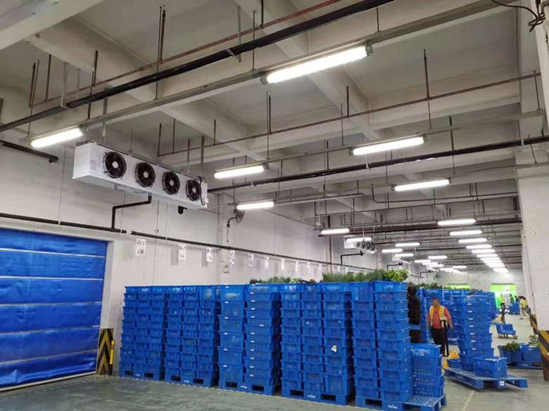 2400平廠房改建成生鮮冷藏庫應該如何來規(guī)劃設計？