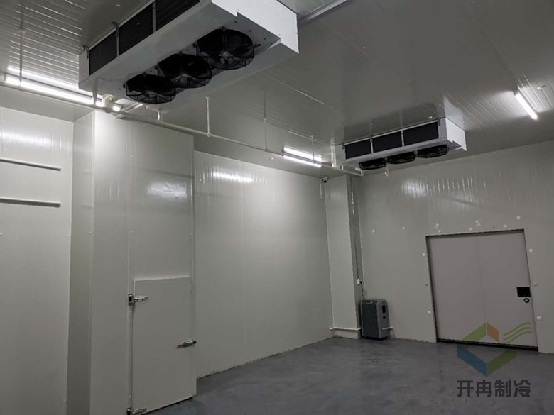 疫苗 冷鏈 醫(yī)療冷庫(kù)廠家