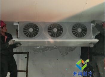 東莞100平水果保鮮冷庫造價大概要多少錢？