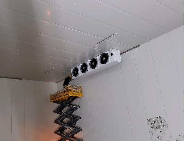 辣椒保鮮庫建造流程有哪些？_開冉制冷