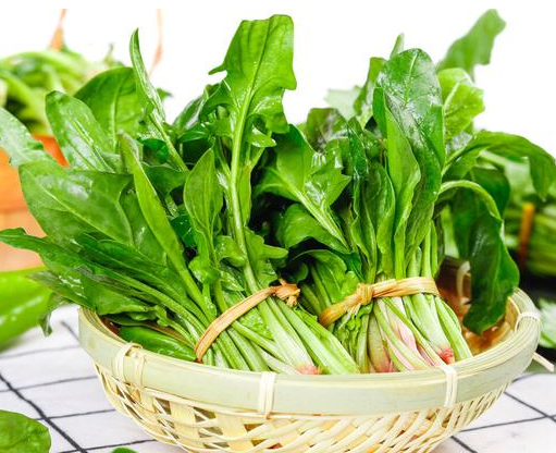 菠菜在冷庫(kù)儲(chǔ)存時(shí),需要避免什么因素影響_開(kāi)冉制冷