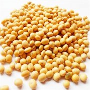 鮮黃豆冷庫設計安裝造價，冷庫保鮮溫度是多少