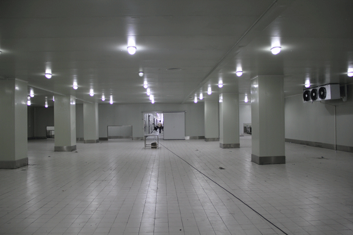 2000平普通冷庫(kù)