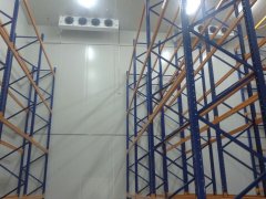 1000噸大姜冷庫安裝費(fèi)用是多少錢？