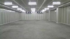 新建500噸香蕉水果氣調(diào)庫(kù)需要多少錢？