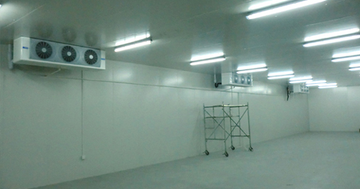 1500噸海鮮低溫冷庫(kù)設(shè)計(jì)規(guī)劃，冷庫(kù)價(jià)格多少錢