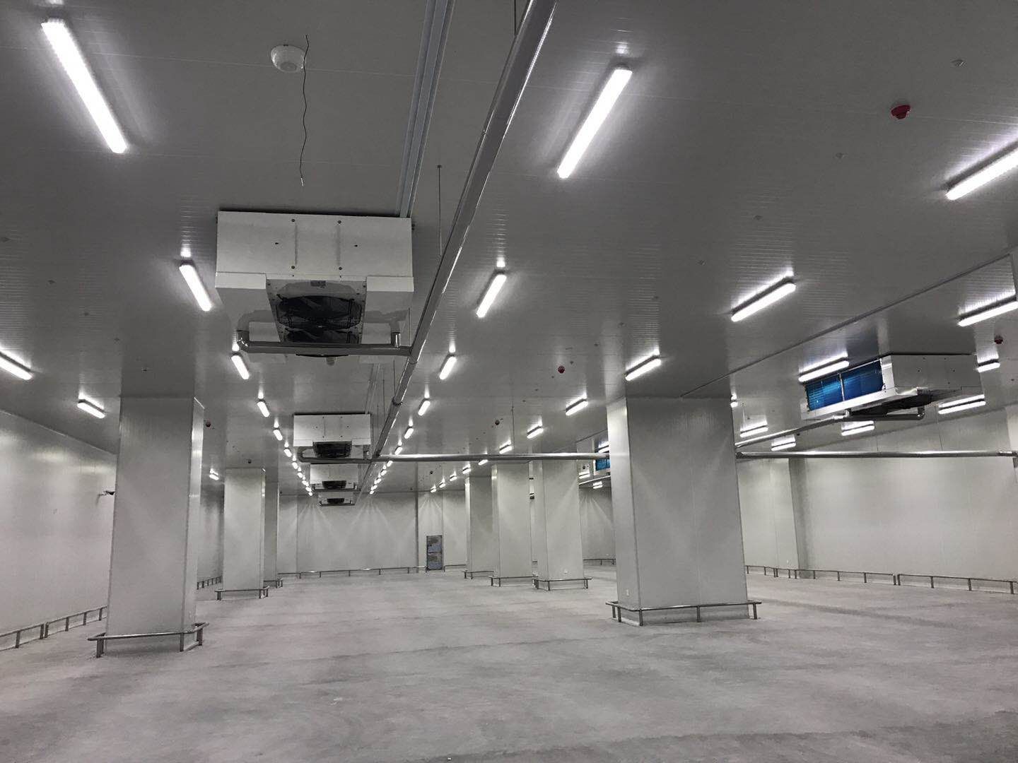 500平米食品冷庫建造，-23℃冷凍庫造價多少錢