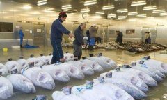 萬噸海鮮冷庫建造價格是多少？