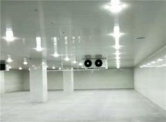 建個一萬平出租型冷庫大概需要投資多少錢？