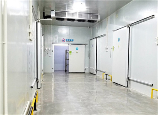 冷庫投資現(xiàn)狀 浩爽冷庫 冷庫投資現(xiàn)狀 浩爽冷庫