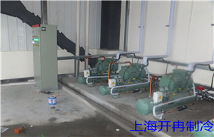 楓杭投資冷庫壓縮機(jī)組圖