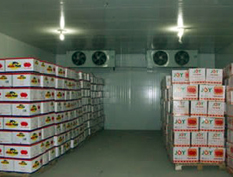 保鮮冷庫設(shè)計(jì)和其他冷庫的區(qū)別