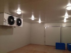 220V能建冷庫多大？（低溫冷庫）