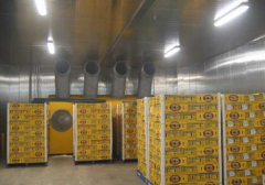 建造拼裝式冷藏庫(kù)放水果多少錢(qián)，拼裝式冷庫(kù)造價(jià)