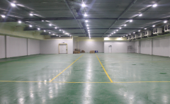 300噸的枇杷冷藏庫建造需要多少錢？枇杷冷庫造價