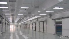 500噸蔬菜保鮮庫需要多大面積總投資造價是多少，設備日耗電量是