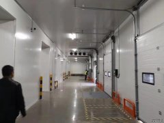 食品批發冷庫造價及規劃、食品保鮮、冷凍庫加工廠庫建造
