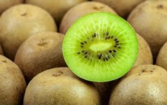 獼猴桃氣調(diào)保鮮冷庫造價，氣調(diào)庫哪家好